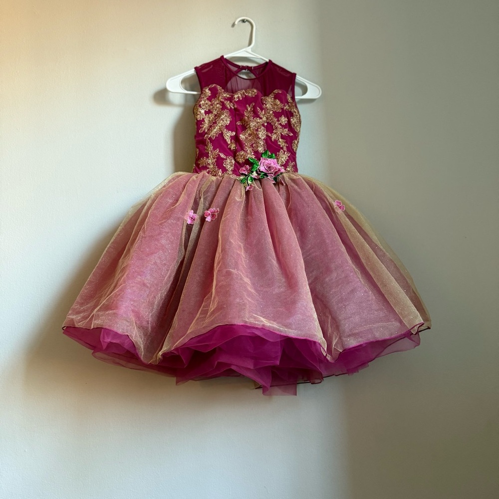 Revolution Dress Dancewear Girls Wine Gold Dance Costume Tulle Child Large LC